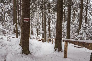 Piękny zimowy widok na panoramę gór Tatry © mirame111