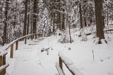 Piękny zimowy widok na panoramę gór Tatry © mirame111