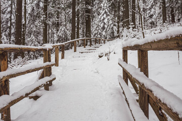 Piękny zimowy widok na panoramę gór Tatry © mirame111