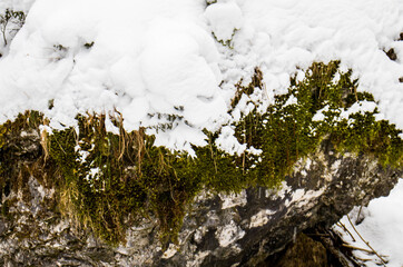 Piękny zimowy widok na panoramę gór Tatry © mirame111