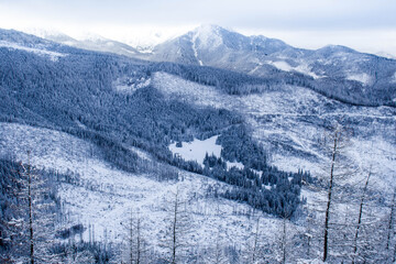 Piękny zimowy widok na panoramę gór Tatry © mirame111
