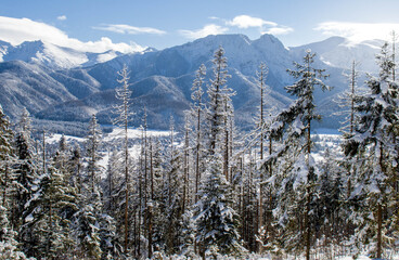Piękny zimowy widok na panoramę gór Tatry © mirame111