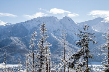 Piękny zimowy widok na panoramę gór Tatry © mirame111
