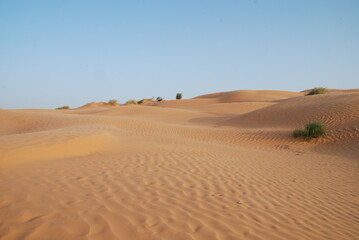 Sahara Desert 