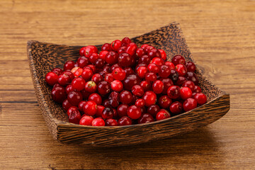 Sweet and tasty cranberry in the bowl
