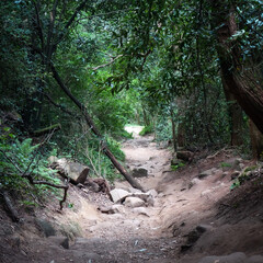 San Sebastian, Spain - April 15, 2021: Trails along the rural Basque coast near San Sebastian, Gipuzkoa