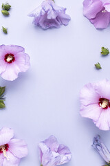 Floral border frame made with hibiscus flowers and leaves on violet background. Trendy creative...