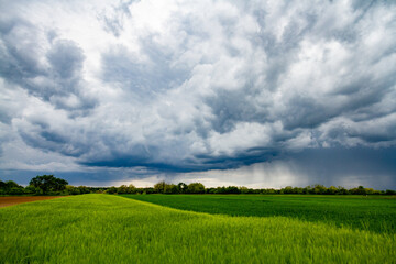green field and blue sky