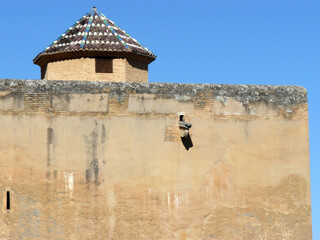 Granada (Spain). Outer defensive walls of the Alhambra in Granada