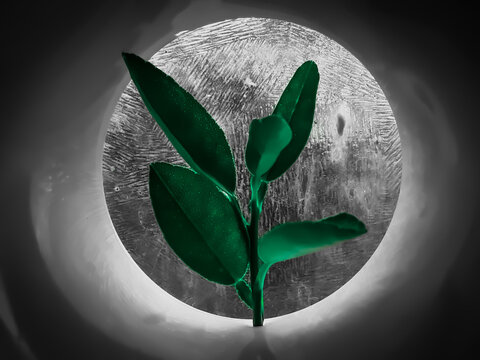 green planet earth