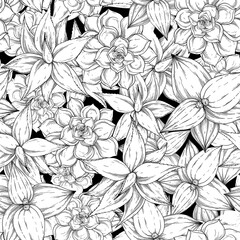 Seamless pattern with aloe, cactus, Foliage and branch. Floral illustration. Black and white