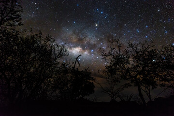 Fototapeta na wymiar Milky Way, Uganda, Africa
