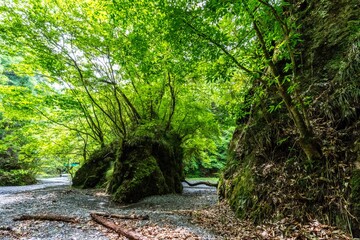 茨城 常陸太田 亀ヶ淵