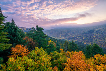 The beautiful autumn landscape of forest sunrise.