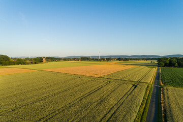 Fototapeta na wymiar Aspahltierter Feldweg mit Getreidefeldern
