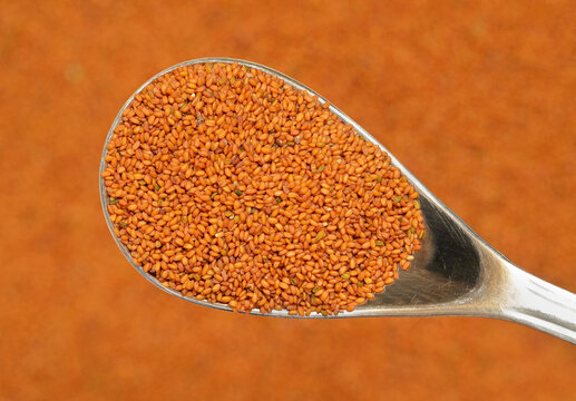Flixweed seeds