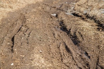broken dirt roads in the spring
