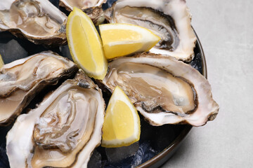 Delicious fresh oysters with lemon slices on light grey table, closeup