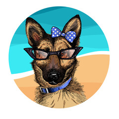 Vector portrait of german shepherd dog wearing sunglasses and retro bow. Summer fashion illustration. Vacation, sea, beach, ocean. Hand drawn pet portait. Poster, t-shirt print, holiday, postcard. - 428133087