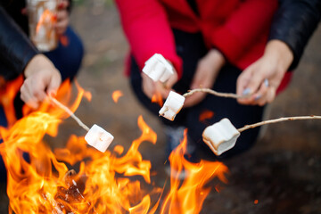 A group of people holding chopsticks with marshmallows in their hands fries them on a fire. Picnic with friends. Hands without faces.