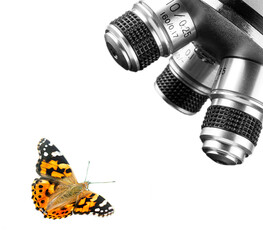 Objective Lens of Microscope and butterfly Isolated on the White Background