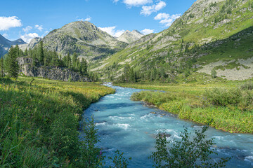 Naklejka na ściany i meble Stormy waters of the mountain river. Altai region. Russia Siberia