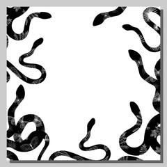 Snake. The background is white with black snakes. Frame. Exotic reptiles. Vector illustration.