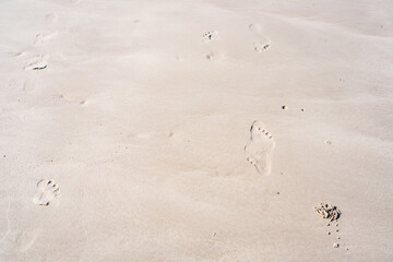 Texture background Footprints of human feet on the sand near the water on the beach