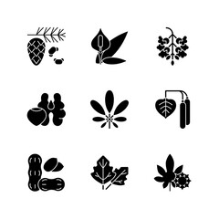 Allergens and allergy causes black glyph icons set on white space. Cedar, pine tree pollen. Peace lily. Poplar tree pollen. Tree nuts, peanut. Silhouette symbols. Vector isolated illustration