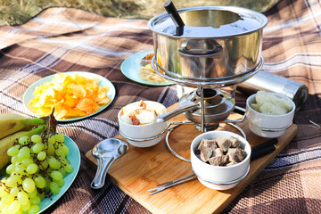 Set for fondue in picnic. picnic with cheese fondue