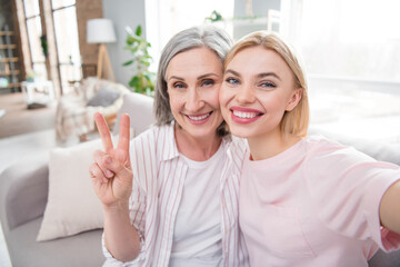 Photo of happy positive nice woman and old lady parent make selfie v-sign smile indoors inside house home