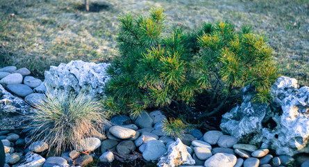 Japanese Garden: The Art of Landscaping of the Land of the Rising Sun
