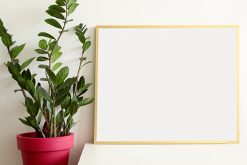 empty horizontal frame with Zamia pot plant