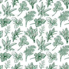 Seasonings and herbs pattern. Aromatic spices, healthy herbs. Basil, oregano, parsley, dill.Hand-drawn vector illustration
