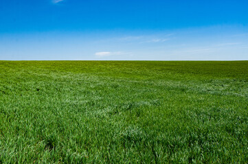 Green arable land is the land under temporary agricultural crops