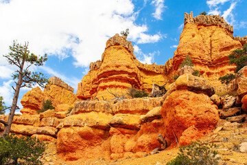 The most popular trails in Red Canyon