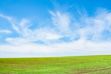 Green arable land is the land under temporary agricultural crops