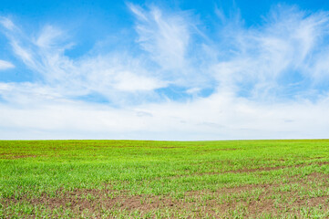 Green arable land is the land under temporary agricultural crops