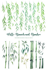 Watercolor green willow branch and bamboo isolated collection. 