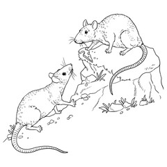 Funny rats. Funny farm animals. Template for children to paint. Coloring book.