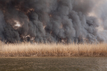 Large fire in steppe on banks of river. Astrakhan region. Russia. Spring, April. Black dense smoke...