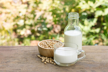 Soy milk in transparent glass with soybeans in wooden bowl on wooden table with blur nature background. Soya milk protein drink for healthcare.