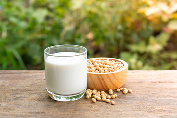Soy milk in transparent glass with soybeans in wooden bowl on wooden table with blur nature...