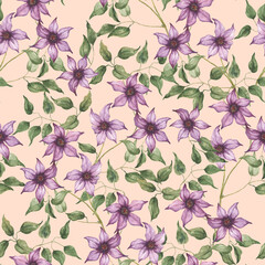 Blooming clematis watercolor pattern