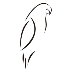 Naklejka premium Bird vector illustration. Line art.