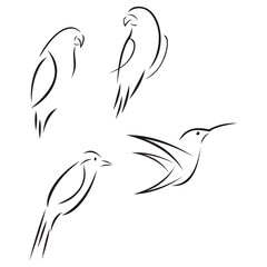 Bird set, vector illustration. Line art.