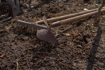 Garden tools shovel, rake lie on the ground in the garden in spring or autumn