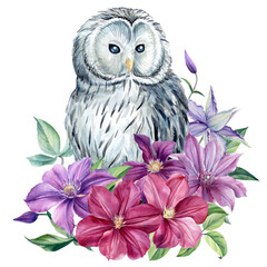 White owl and flowers on an isolated white background. Watercolor illustration, poster with owl decorated with clematis 