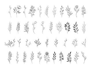 Set of hand drawn flowers, herbs, leaves, twigs of flowers. Vector isolated illustration. - 428149006