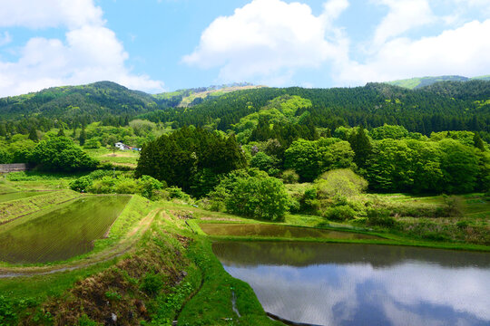「江刺」の写真素材 411件の無料イラスト画像 Adobe Stock
